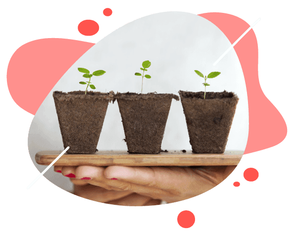 Netox Grow